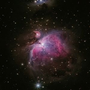 Meet your Posher, Samson